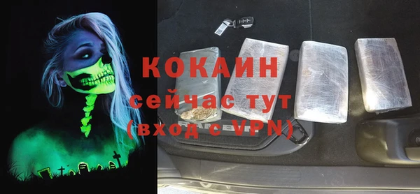 соль курить ск Новодвинск