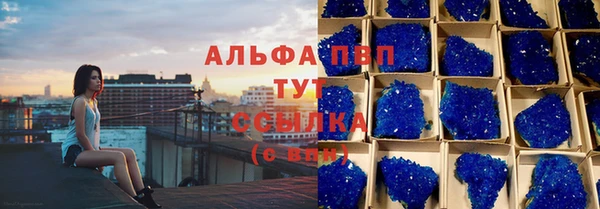 стафф Новозыбков