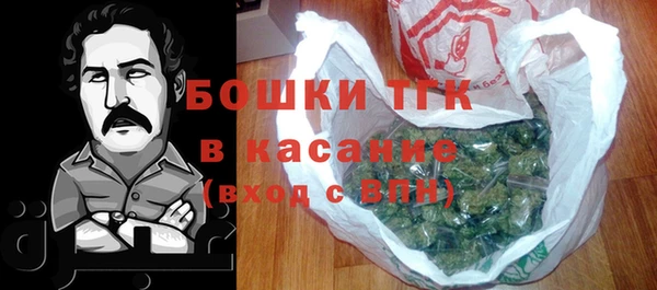 стафф Новозыбков